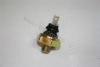 AUTOMEGA 109190081021B Oil Pressure Switch